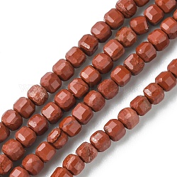 Chapelets de perles en jaspe rouge naturel, facette, cube, 2.5x2.5x2.5mm, Trou: 0.6mm, Environ 167 pcs/chapelet, 15.55 pouce (39.5 cm)