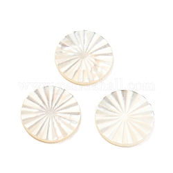 Cabochoni naturali di shell marini, rotondo e piatto, bianco, 10x1mm