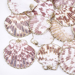 Pendentifs coquille de mer, avec les accessoires en fer, or clair, colorées, 35~53x34~52x7~11mm, Trou: 2mm