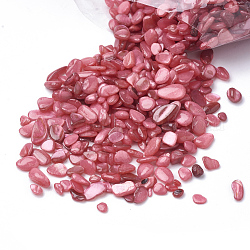 Perles de coquille, aucun perles de trou, teinte, puce, rouge indien, 1~15x1~15x0.5~5 mm, environ 450 g / sac