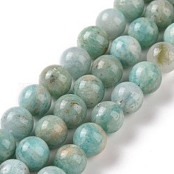 Chapelets de perles en amazonite naturelle, ronde, 8mm, Trou: 1mm, Environ 47 pcs/chapelet, 15.55 pouce (39.5 cm)