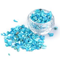 Perles de coquille naturels, sans trou, teinte, puce, bleu profond du ciel, 2~15x2~10x1~5mm