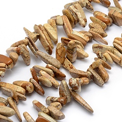 Natural Picture Jasper Beads Strands, Chip, 11~25x4~8mm, Hole: 1mm, 15.3 inch(39cm)