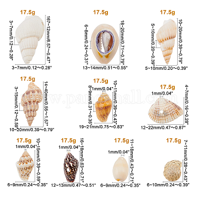 Kit perline di conchiglie naturali&nbsp;SSHEL-PH0002-51-1