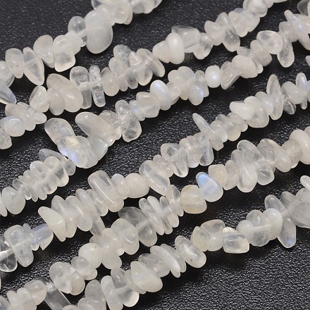 Puces naturelles perles de pierre de lune blancs brins X-G-N0164-57-1