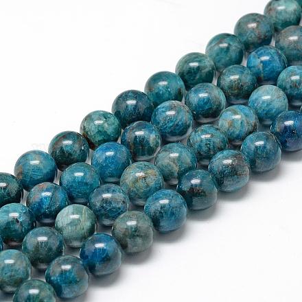 Natural Apatite Beads Strands G-R446-12mm-11-1
