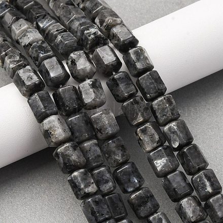 Натуральные нити бус из ларвикита G-R015-A04-1