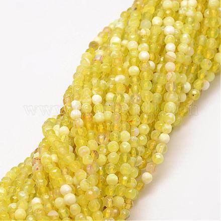 Natural Agate Bead Strands G-G882-4mm-A04-2-1