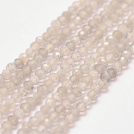 Chapelets de perles en labradorite naturelle G-P279-57-2mm-1