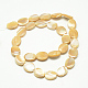 Naturali di mare shell perle fili SSHEL-Q301-05-2