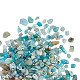 Natural Amazonite Chip Beads G-CJ0001-21-6