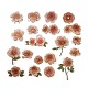 20 Uds. Pegatinas autoadhesivas impermeables de flores vintage para mascotas DIY-G108-01C-1