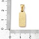 Pendentifs en acier inoxydable 304&nbsp;STAS-Z120-03E-G-3