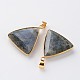 Faceted Triangle Natural Labradorite Pendants G-M294-05-2