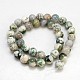 Natural Tree Agate Beads Strands G-H1633-10MM-2