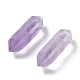 Natural Amethyst Double Terminated Pointed Beads G-G012-28-2