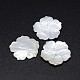 Natural White Shell Mother of Pearl Shell Flower Cabochons SSHEL-E553-01-1