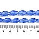 Прозрачные стеклянные бусины EGLA-N013-T10mm-D10-4
