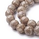 Natural Fossil Coral Beads Strands G-F563-02-10mm-3