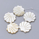 Shell perle naturali di acqua dolce SHEL-T007-05-1