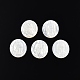 Cabuchones de conchas blancas naturales SSHEL-N034-138-2