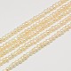 Grade B Natural Cultured Freshwater Pearl Beads Strands PEAR-L003-04-1