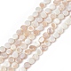 Brins de perles de coquille d'eau douce naturelles plaquées de couleur ab BSHE-G033-04-1
