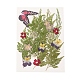 Gepresste Trockenblumen DIY-YWC0001-96-2