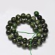 Round Natural Green Diopside Bead Strands G-F289-20-10mm-2