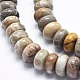 Natural Fossil Coral Beads Strands G-K256-10C-3