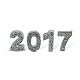 Sets of 2017 Year Date Charms Platinum Alloy Rhinestone Number Slide Charms RB-A055-2017-1