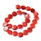 Natural Shell Beads Strands PBB-XXBK030Y-1-2