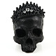 Halloween Resin Skull Figurines PW-WG47008-01-5