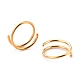 Двойное кольцо в носу для одиночного пирсинга AJEW-C010-02G-02-3