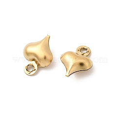 Colgantes de acero inoxidable 304&nbsp;STAS-G389-02G-06