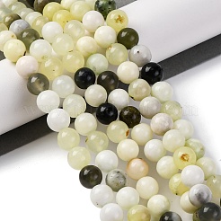 Natürlich neu Jade Perlen Stränge&nbsp;X-G-F591-16-8MM