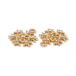 Ciondoli in lega strass di cristallo&nbsp;X-ALRI-K049-01G