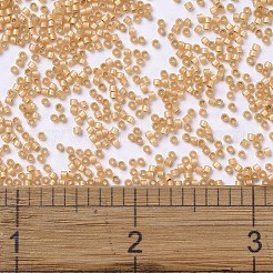 Perles miyuki delica&nbsp;SEED-X0054-DB2171