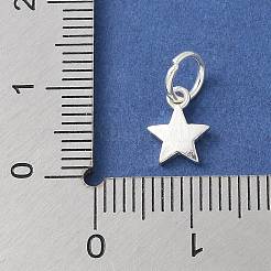 S925 Sterling Silber Anhänger&nbsp;STER-H115-03C-S