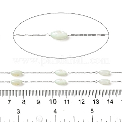 Chaînes en acier inoxydable 304 avec perles de coquillage teintées&nbsp;STAS-B067-03P-02