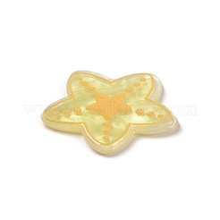Acryl-Kunststoff-Cabochons&nbsp;OACR-R269-01C