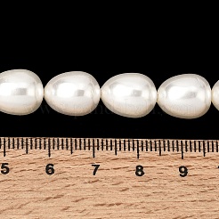 Galvanisierte Muschelperlenstränge&nbsp;BSHE-B008-04