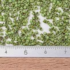 Miyuki Delica Perlen&nbsp;SEED-MY11-DB2265