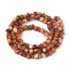 Hebras naturales de cuentas de concha de agua dulce&nbsp;SHEL-N037-04C