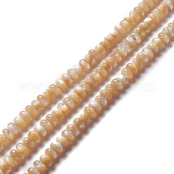 Fili di perle di conchiglia trochid naturale / trochus&nbsp;SSHEL-O001-24A-01