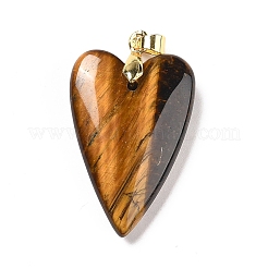 Pendentifs en œil de tigre naturel&nbsp;X-G-E570-01G-07