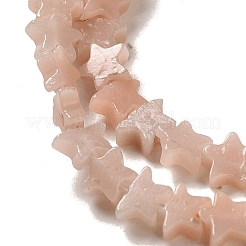 Natürliche rosa Opalkorne Stränge&nbsp;G-G085-B36-02