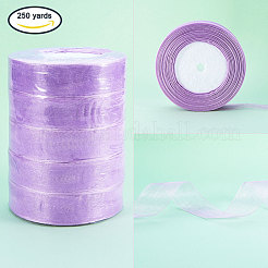 Ruban d'organza&nbsp;ORIB-T001-25mm-BK42