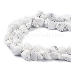 Fili di perline howlite naturale&nbsp;G-K337-06