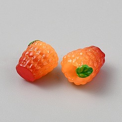 Orangefarbene Displaydekorationen aus Harz&nbsp;DJEW-WH0039-130B